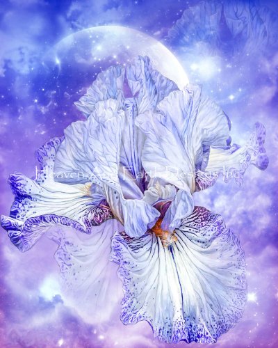 Diamond Painting Canvas - Mini Goddess Of Dreams - Click Image to Close